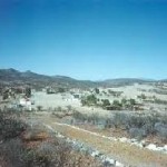 minmexoax