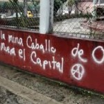 caballo29