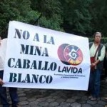 caballo15