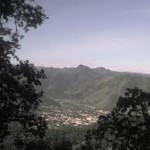 cmocampo