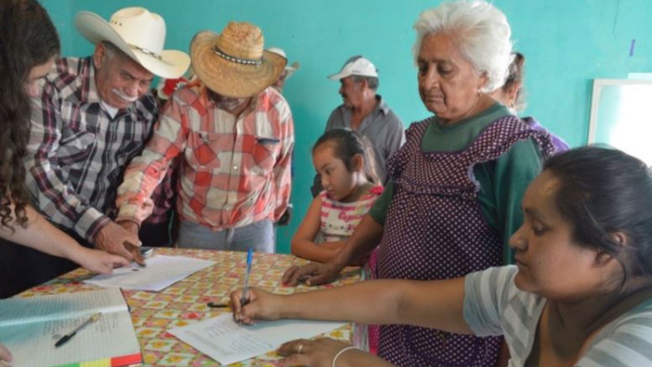 Guadalcázar, San Luis Potosí REMA