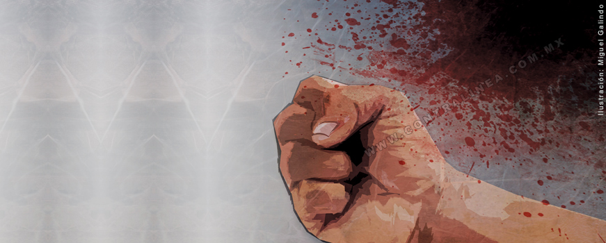 Mariano Abarca, lucha inacabable