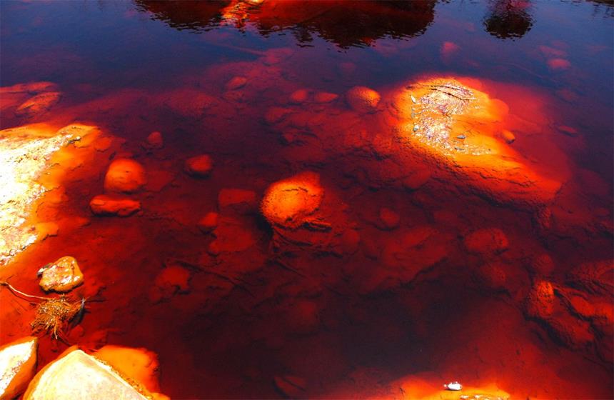 PERSPECTIVAS: Grupo México y contaminación tóxica