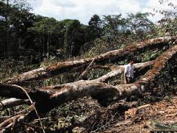 Minería y naturaleza