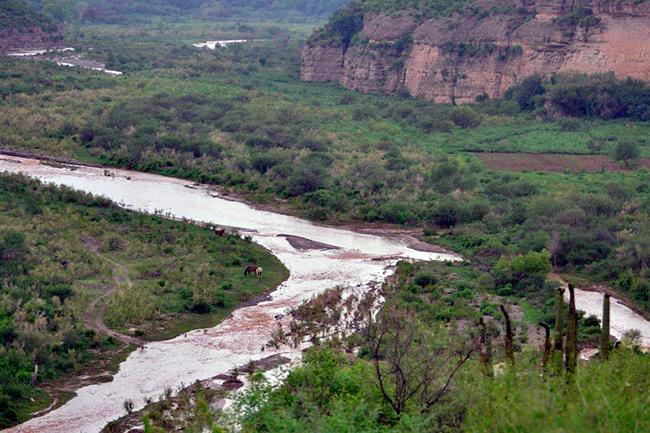 Por la contaminación del Río Sonora Siete subcomisiones medirán el daño