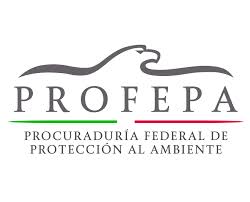 Profepa ordena segunda clausura a minera de Grupo México