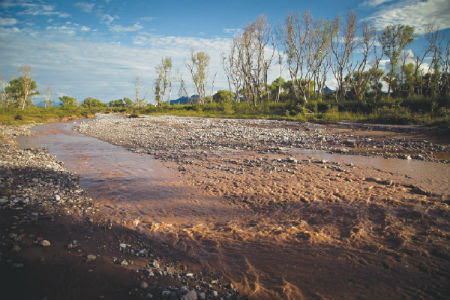Indemnizan por derrame minero en Sonora
