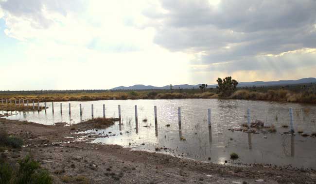 Declaratoria en semidesierto, amenaza para mineras: Demetrio