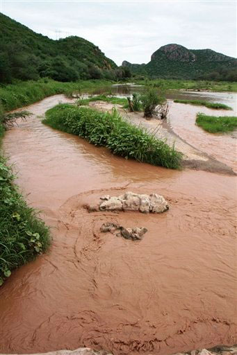 IFAI ordena transparentar Fideicomiso de Grupo México por Río Sonora