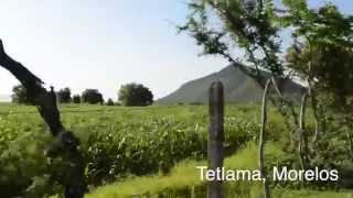 Video. Patrimonio Biocultural y Megaminería tóxica en México y el Mundo: Un Reto Múltiple