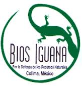 Urgente. Boletín de Prensa de Bios Iguana
