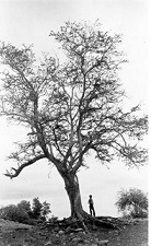 DEFENSA DEL TERRITORIO EN LA MONTAÑA DE GUERRERO / 244