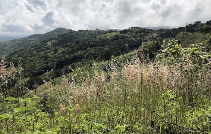 Júba Wajiín, pueblo cargado de oro, dice a mineras: no entrarán; aquí valen más el agua y la tierra