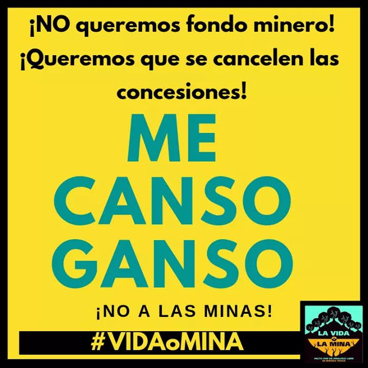 ME CANSO GANSO. ¡NO A LAS MINAS!