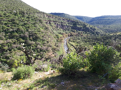 Advierten que habrá desplazamiento forzado y pobreza por la Presa Milpillas